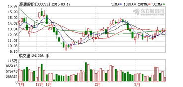 高鴻股份 教育信息化業務步入推廣階段，軟硬件技術開發成新引擎